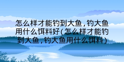 怎么样才能钓到大鱼,钓大鱼用什么饵料好(怎么样才能钓到大鱼,钓大鱼用什么饵料)