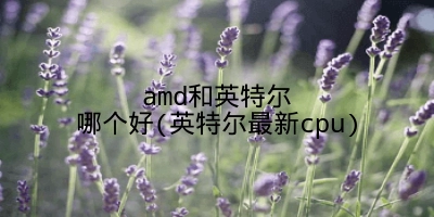 amd和英特尔哪个好(英特尔最新cpu)