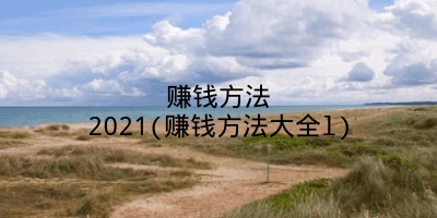 赚钱方法2021(赚钱方法大全l)