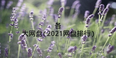 各大网盘(2021网盘排行)