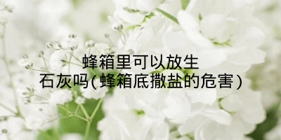 蜂箱里可以放生石灰吗(蜂箱底撒盐的危害)