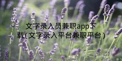 文字录入员兼职app下载(文字录入平台兼职平台)