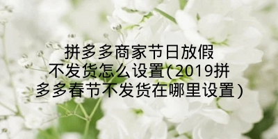 拼多多商家节日放假不发货怎么设置(2019拼多多春节不发货在哪里设置)