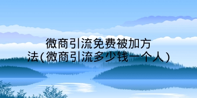 微商引流免费被加方法(微商引流多少钱一个人)