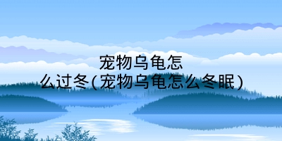 宠物乌龟怎么过冬(宠物乌龟怎么冬眠)