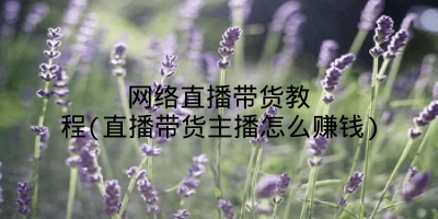 网络直播带货教程(直播带货主播怎么赚钱)