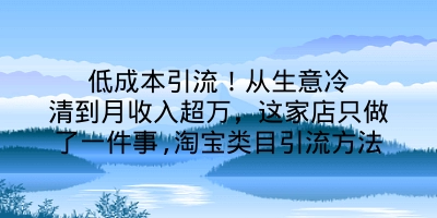 低成本引流！从生意冷清到月收入超万，这家店只做了一件事,淘宝类目引流方法