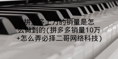 拼多多上万的销量是怎么做到的(拼多多销量10万+怎么弄必择二哥网络科技)