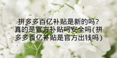 拼多多百亿补贴是新的吗?真的是官方补贴吗安全吗(拼多多百亿补贴是官方出钱吗)