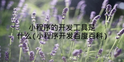 小程序的开发工具是什么(小程序开发百度百科)