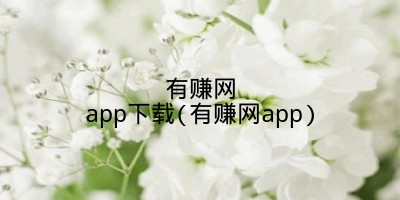 有赚网app下载(有赚网app)