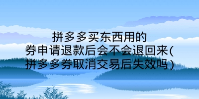 拼多多买东西用的券申请退款后会不会退回来(拼多多券取消交易后失效吗)