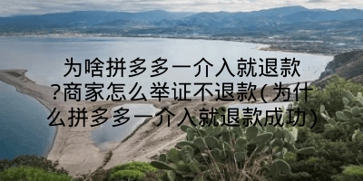 为啥拼多多一介入就退款?商家怎么举证不退款(为什么拼多多一介入就退款成功)