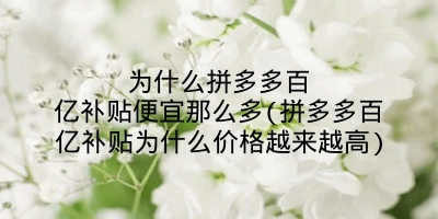 为什么拼多多百亿补贴便宜那么多(拼多多百亿补贴为什么价格越来越高)