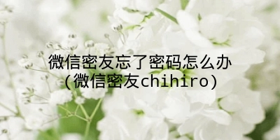 微信密友忘了密码怎么办(微信密友chihiro)