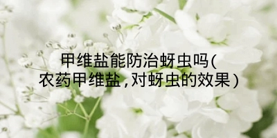 甲维盐能防治蚜虫吗(农药甲维盐,对蚜虫的效果)