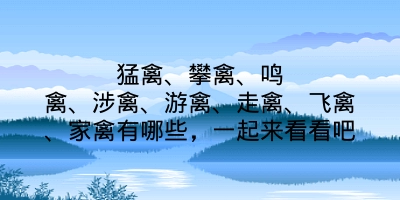 猛禽、攀禽、鸣禽、涉禽、游禽、走禽、飞禽、家禽有哪些，一起来看看吧