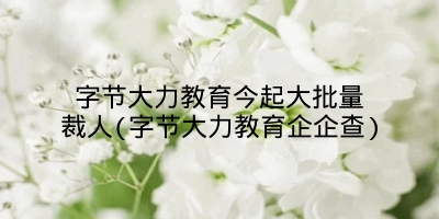 字节大力教育今起大批量裁人(字节大力教育企企查)