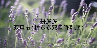 拼多多双旦节(拼多多双旦降到底)