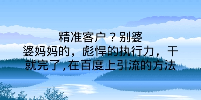 精准客户？别婆婆妈妈的，彪悍的执行力，干就完了,在百度上引流的方法