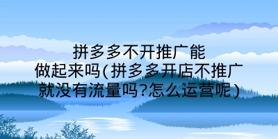 拼多多不开推广能做起来吗(拼多多开店不推广就没有流量吗?怎么运营呢)