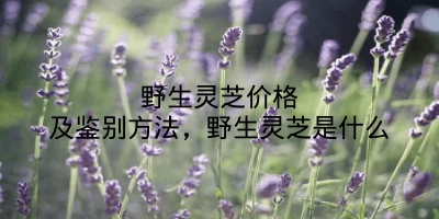 野生灵芝价格及鉴别方法，野生灵芝是什么