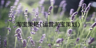 淘宝策略(运营淘宝策划)