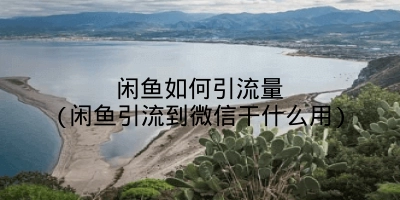 闲鱼如何引流量(闲鱼引流到微信干什么用)