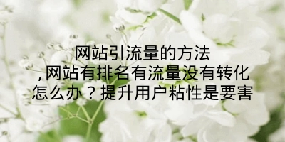 网站引流量的方法,网站有排名有流量没有转化怎么办？提升用户粘性是要害