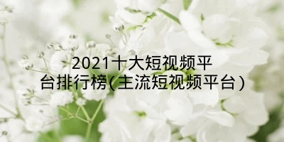 2021十大短视频平台排行榜(主流短视频平台)