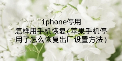 iphone停用怎样用手机恢复(苹果手机停用了怎么恢复出厂设置方法)