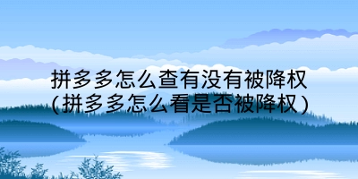 拼多多怎么查有没有被降权(拼多多怎么看是否被降权)