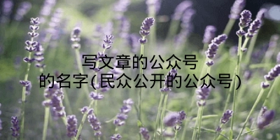 写文章的公众号的名字(民众公开的公众号)