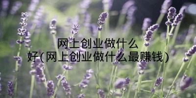 网上创业做什么好(网上创业做什么最赚钱)