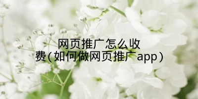 网页推广怎么收费(如何做网页推广app)