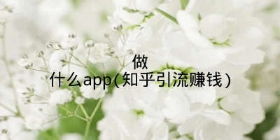 做什么app(知乎引流赚钱)