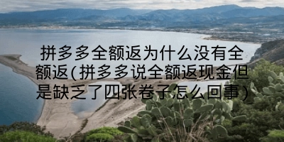 拼多多全额返为什么没有全额返(拼多多说全额返现金但是缺乏了四张卷子怎么回事)