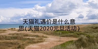 天猫礼遇价是什么意思(天猫2020元旦活动)