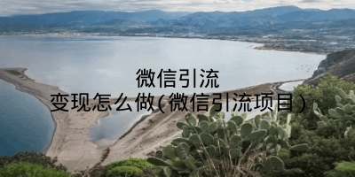 微信引流变现怎么做(微信引流项目)