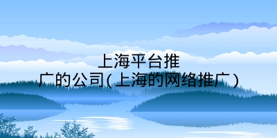 上海平台推广的公司(上海的网络推广)