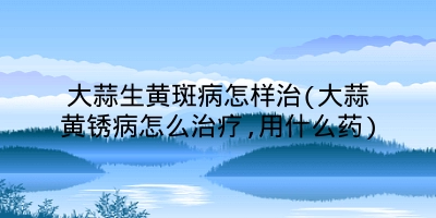 大蒜生黄斑病怎样治(大蒜黄锈病怎么治疗,用什么药)