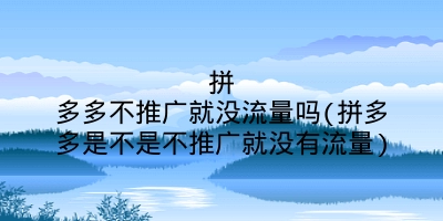 拼多多不推广就没流量吗(拼多多是不是不推广就没有流量)