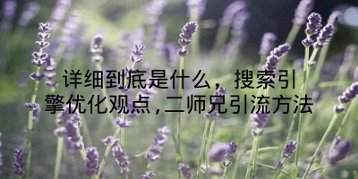 详细到底是什么，搜索引擎优化观点,二师兄引流方法