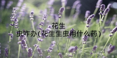 花生虫咋办(花生生虫用什么药)