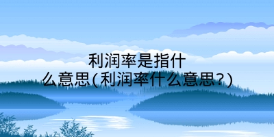 利润率是指什么意思(利润率什么意思?)