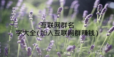 互联网群名字大全(加入互联网群赚钱)