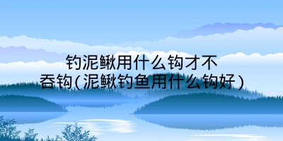 钓泥鳅用什么钩才不吞钩(泥鳅钓鱼用什么钩好)