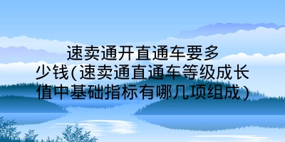 速卖通开直通车要多少钱(速卖通直通车等级成长值中基础指标有哪几项组成)