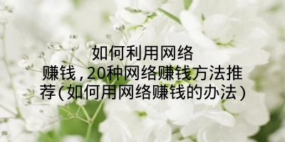 如何利用网络赚钱,20种网络赚钱方法推荐(如何用网络赚钱的办法)