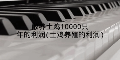 散养土鸡10000只年的利润(土鸡养殖的利润)